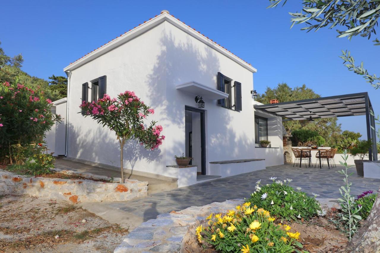 Villa John'S Skopelos Stafilos Esterno foto